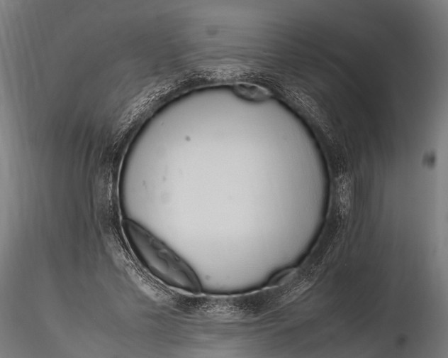 X0000115620589200912011617