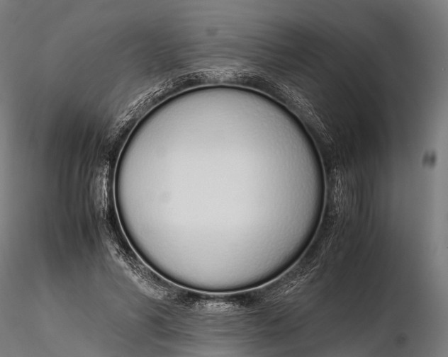 X0000115620590200912011617