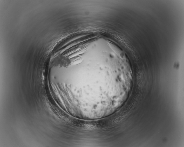 X0000115620592200912011616