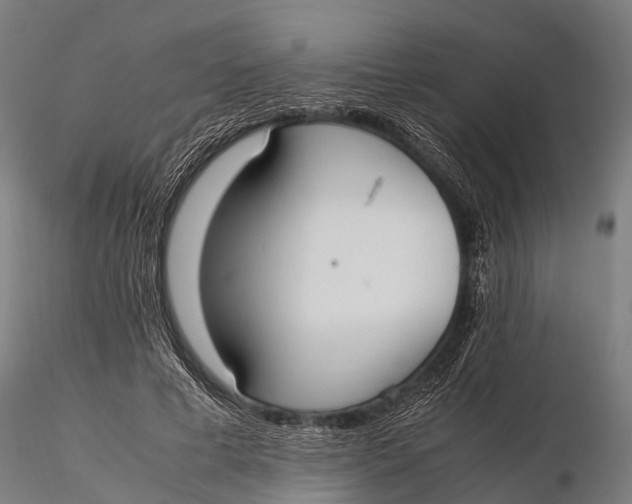 X0000115620593200912011616