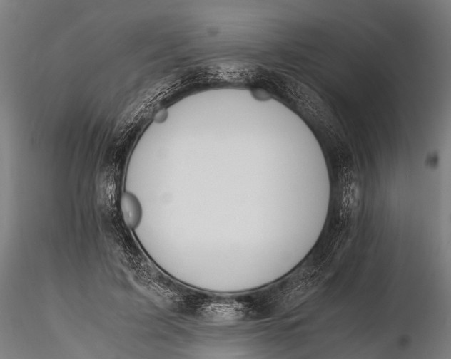 X0000115620595200912011616