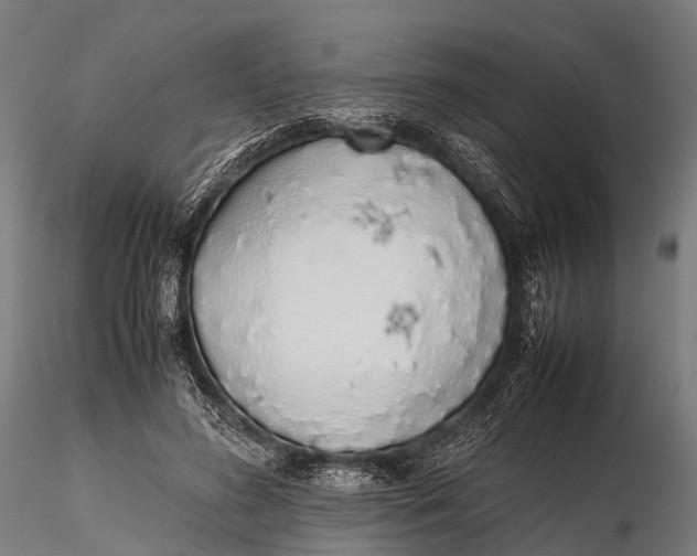 X0000115620596200912011616