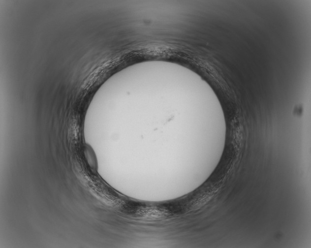 X0000115620597200912011616