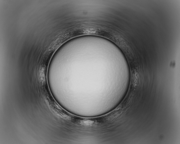 X0000115620598200912011616