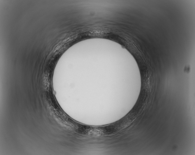 X0000115620599200912011616