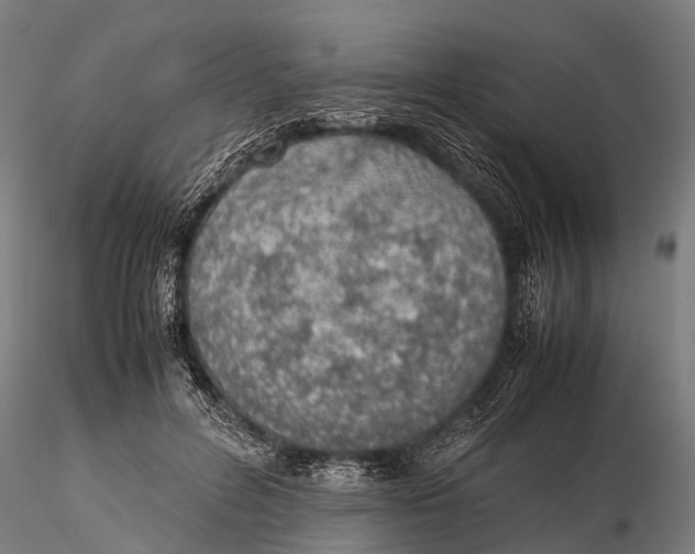 X0000115620600200912011616