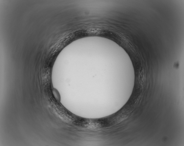 X0000115620601200912011616