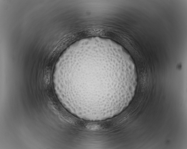 X0000115620602200912011616