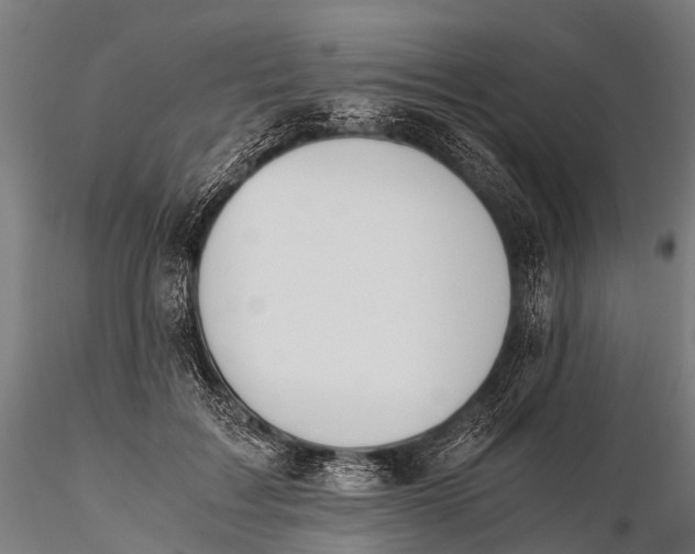 X0000115620603200912011616