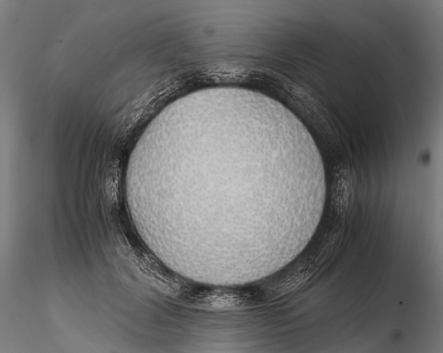 X0000115620604200912011616