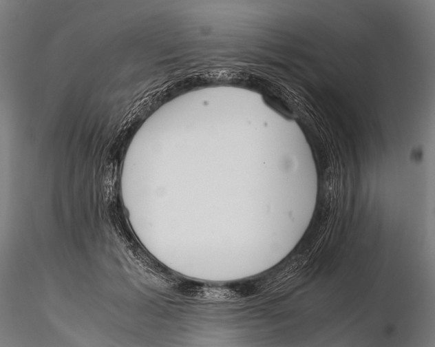 X0000115620605200912011616