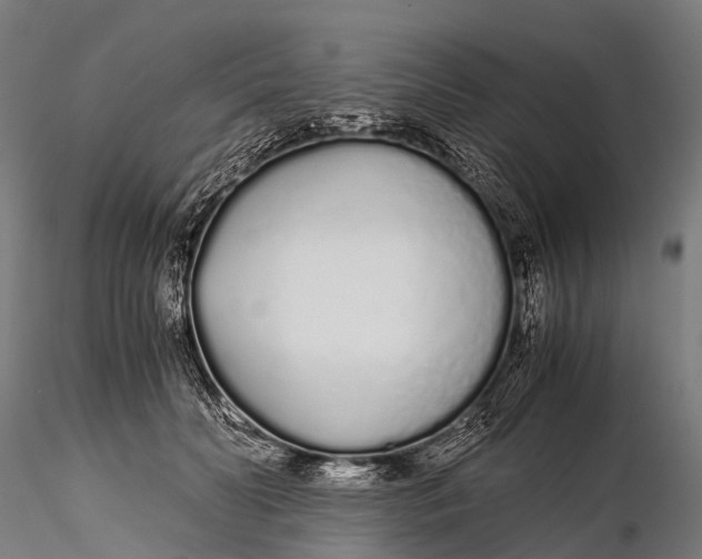 X0000115620606200912011616