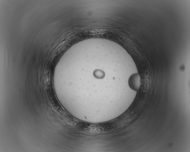 X0000115620608200912011616