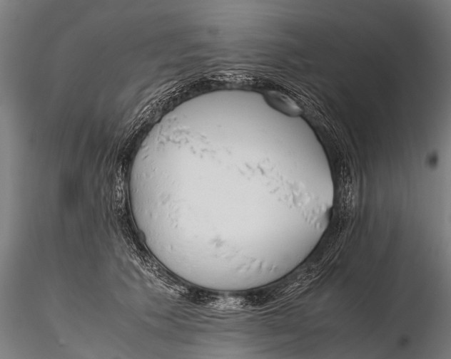 X0000115620609200912011616