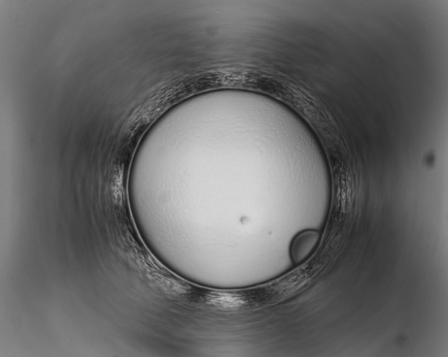 X0000115620610200912011616