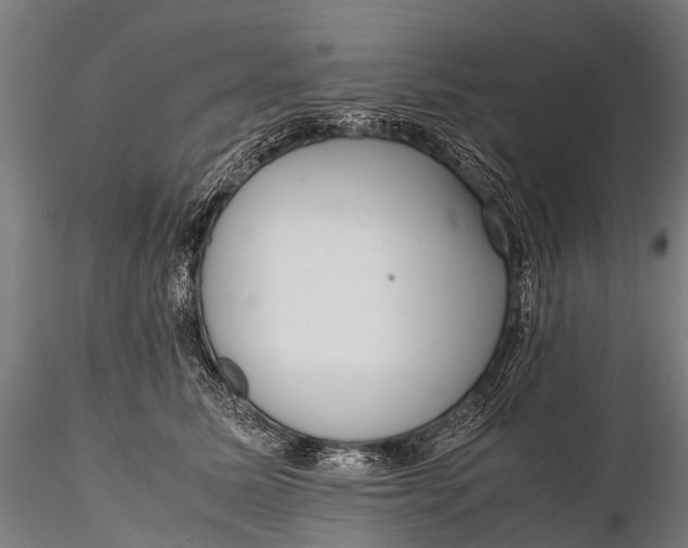 X0000115620611200912011616