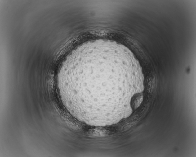 X0000115620612200912011616