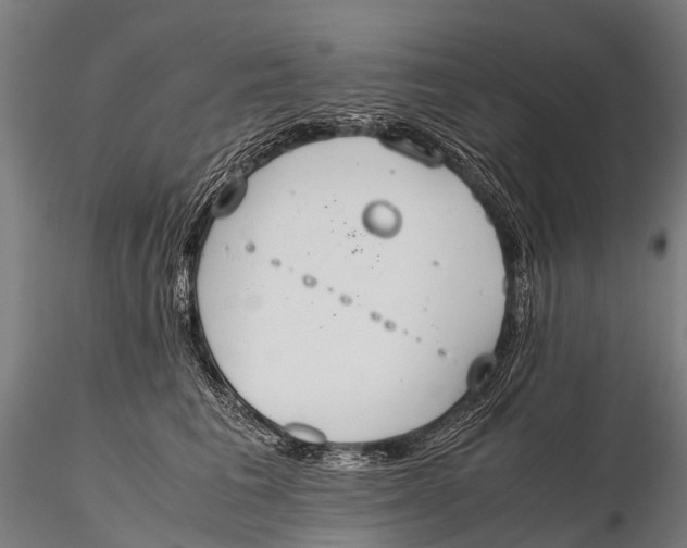 X0000115620613200912011616