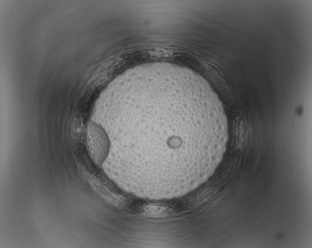 X0000115620614200912011616