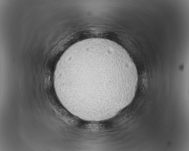 X0000115620615200912011616