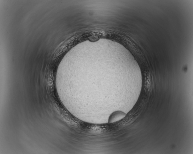 X0000115620616200912011616