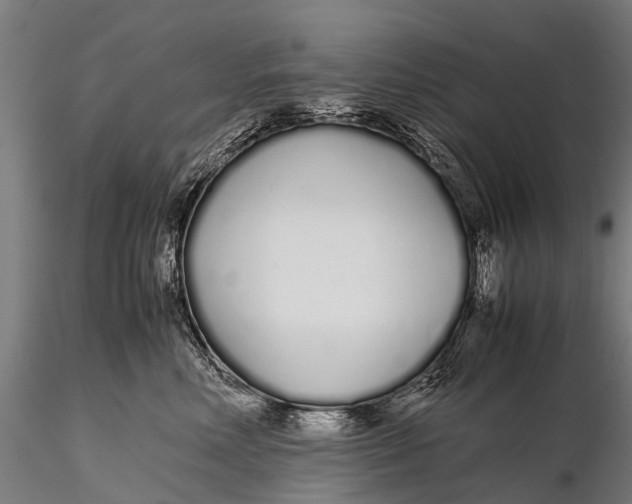 X0000115620618200912011616