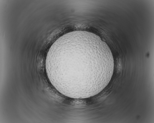 X0000115620619200912011616