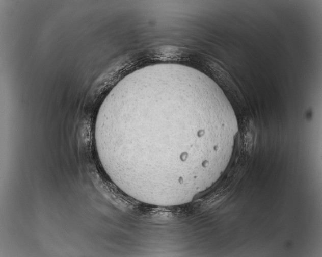 X0000115620620200912011616