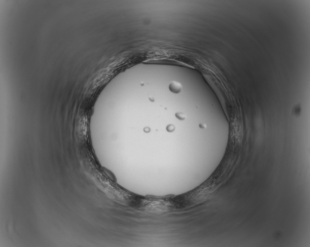 X0000115620621200912011616