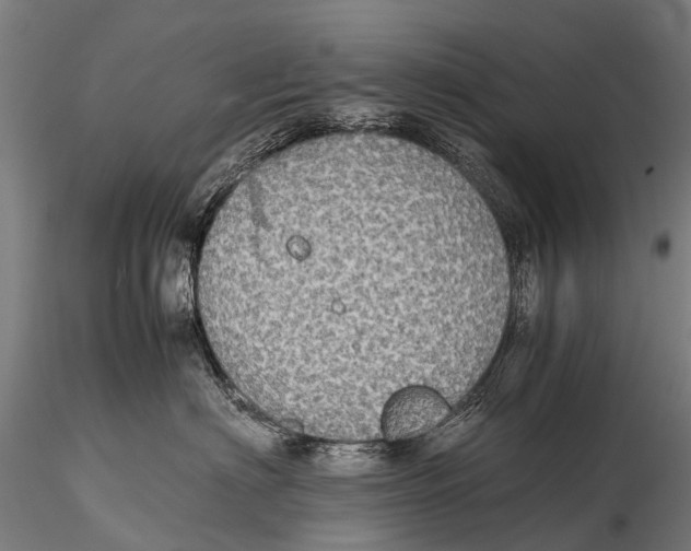 X0000115620622200912011616