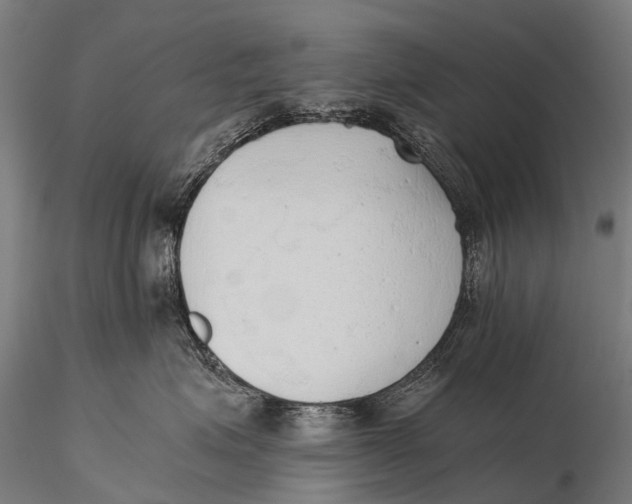 X0000115620623200912011616