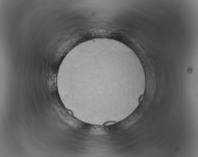 X0000115620624200912011616