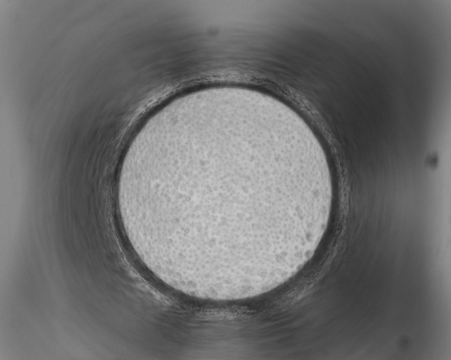 X0000115620625200912011615