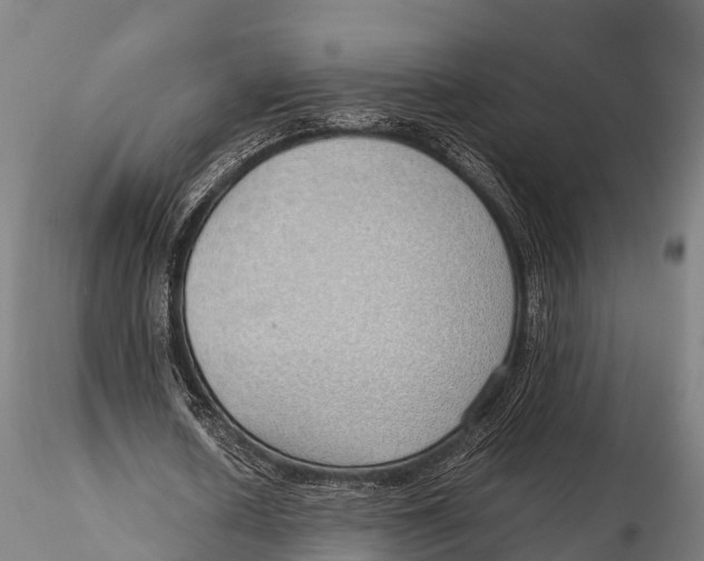 X0000115620626200912011615