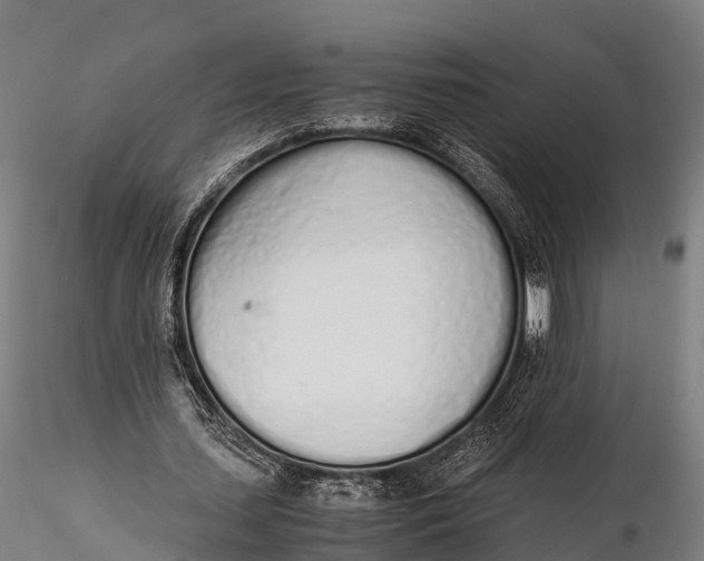 X0000115620627200912011615