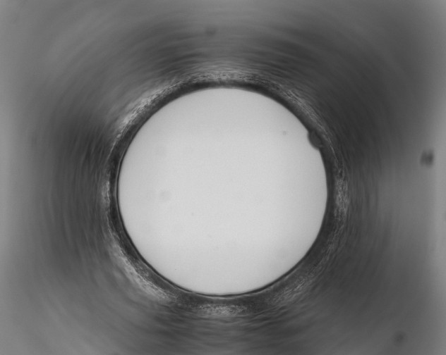 X0000115620629200912011615