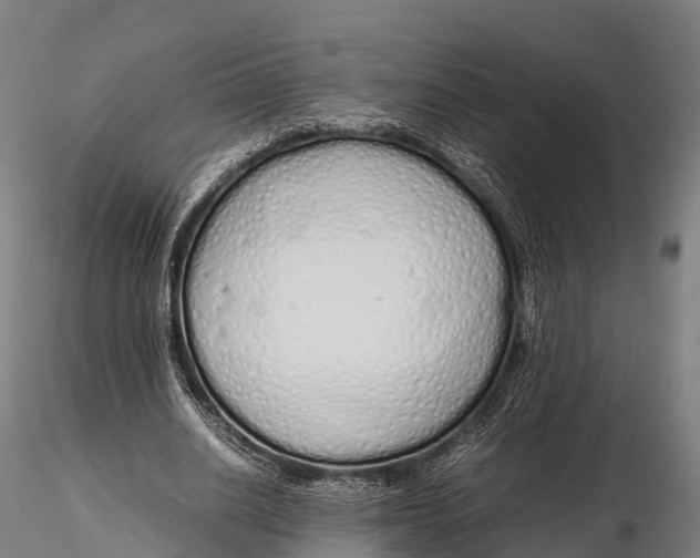 X0000115620630200912011615