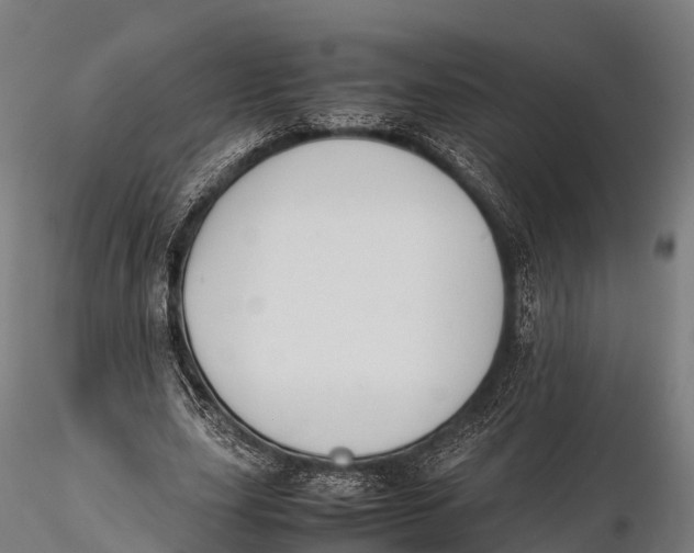 X0000115620631200912011615