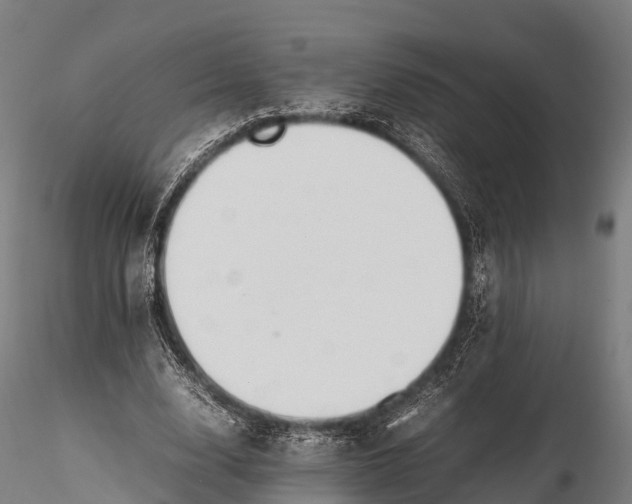 X0000115620632200912011615