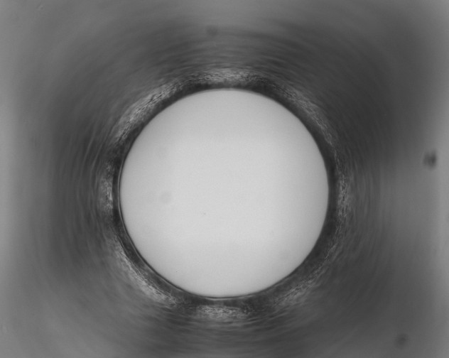 X0000115620633200912011615