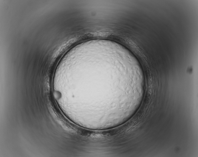 X0000115620634200912011615