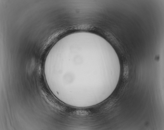 X0000115620636200912011615