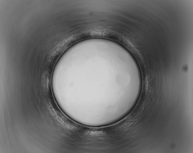 X0000115620637200912011615