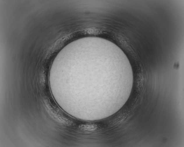 X0000115620639200912011615