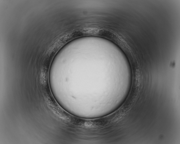 X0000115620641200912011615