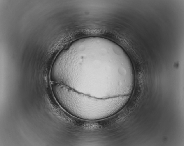 X0000115620642200912011615