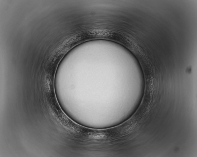 X0000115620643200912011615