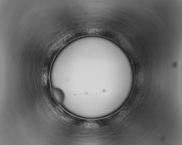 X0000115620644200912011615