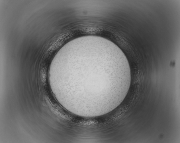 X0000115620646200912011616