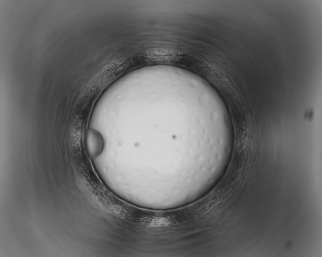 X0000115620647200912011616